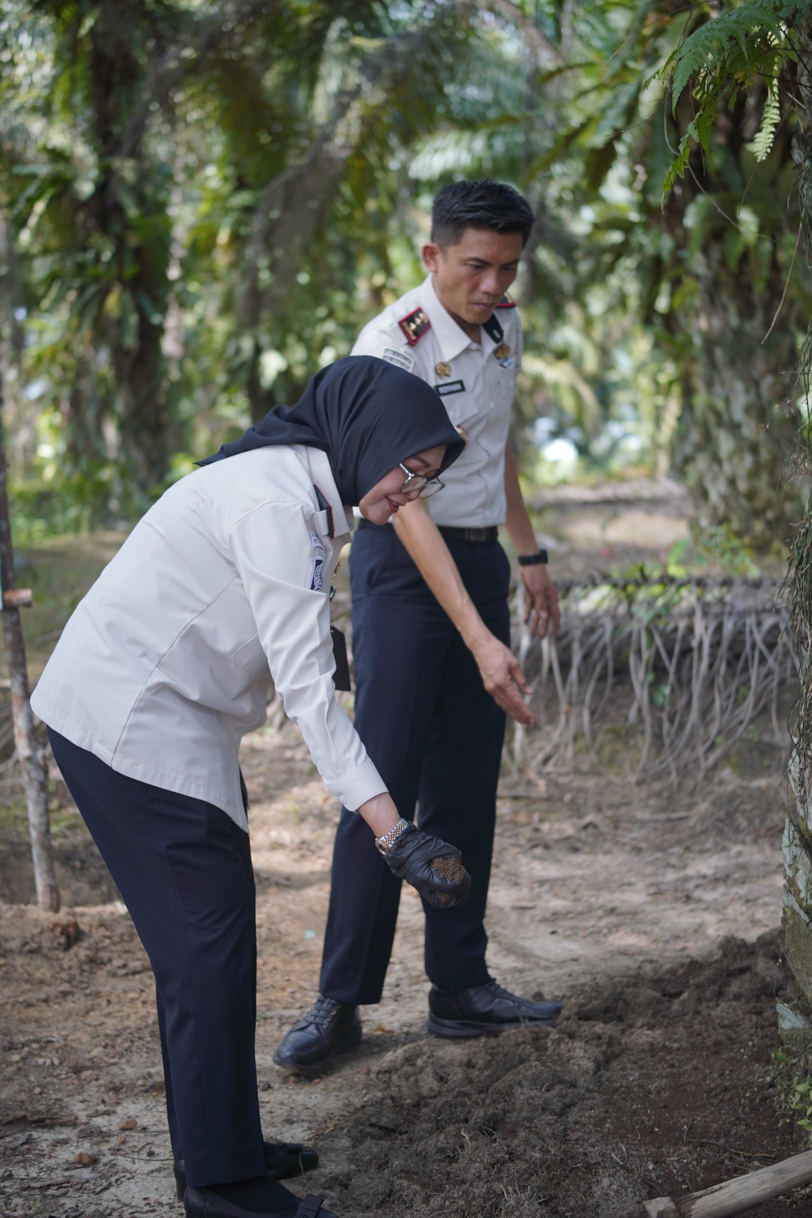Kakanwil Ditjenpas Babel Demplot Pupuk Kompos di Tanaman Sawit Desa Binaan Lapas Tanjung Pandan